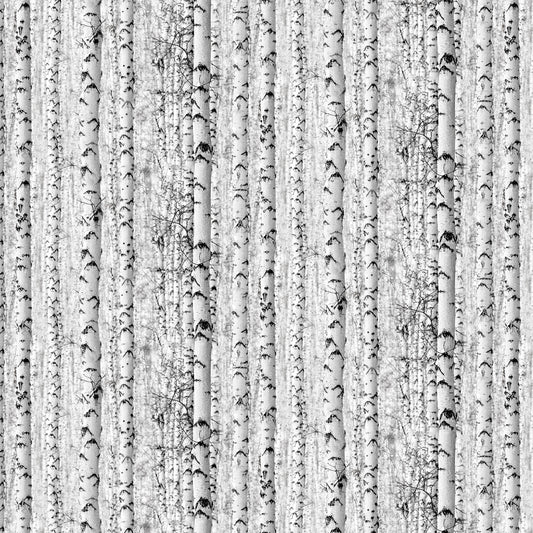 Solitude Naturescape, White Birch Tree Fabric by Northcott *