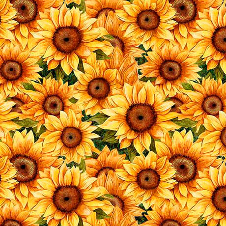 Sunflower Serenade Packed with Green Background Cotton Fabric