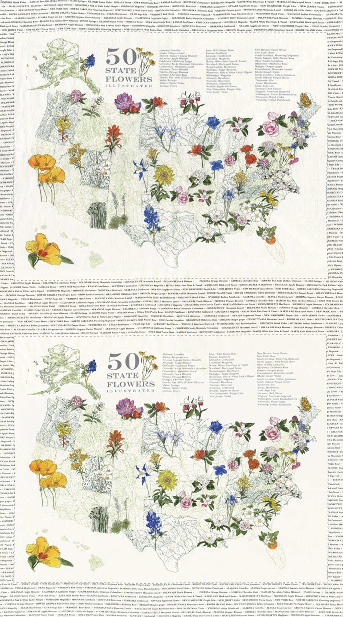 50 states floral panel #31