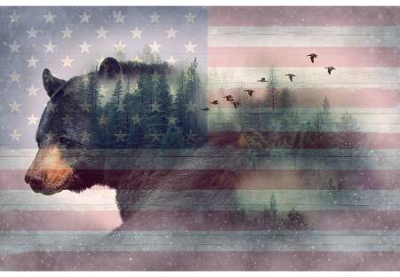 American Wild Grizzly Bear Fabric Panel #81