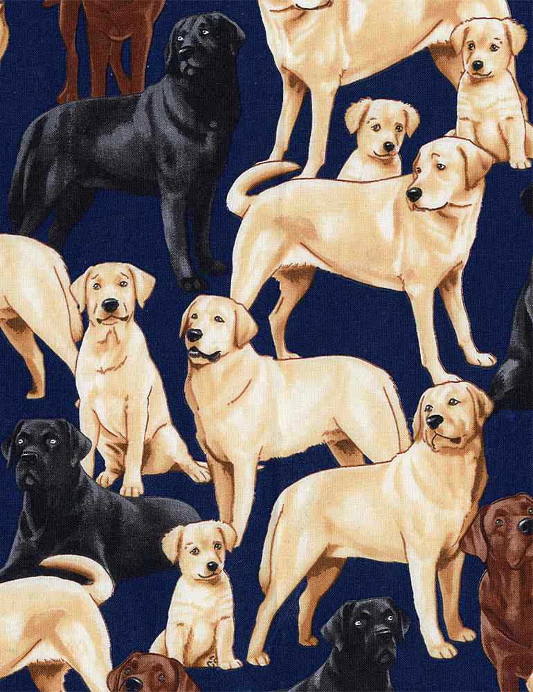 Navy blue fabric with Labrador Dogs Quilting Cotton Fabric by Timeless Treasures *