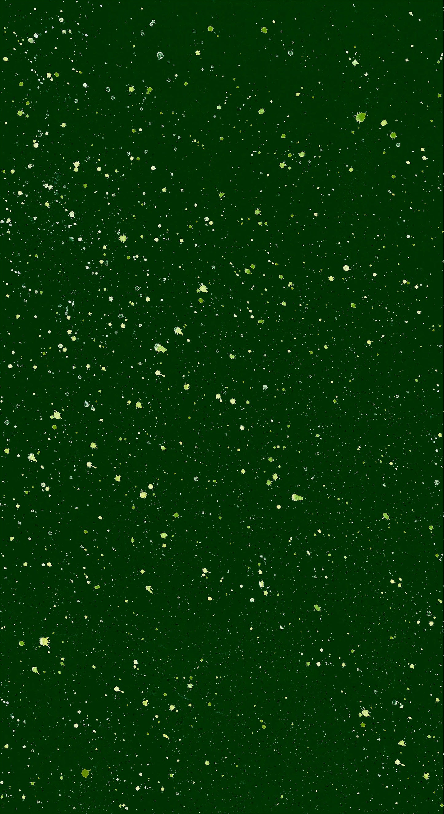 Winter Garden - A Garden View Wall / Door Hanging by Northcott Kit