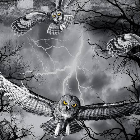 Night Fog Owls Halloween Cotton Fabric *
