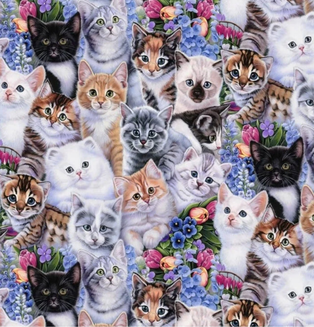 Kittens and Flowers Quilting Cotton Fabric by David Textiles