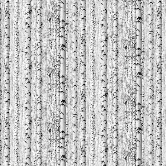 Solitude Naturescape, White Birch Tree Fabric by Northcott