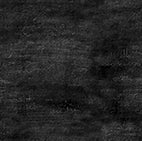 Spooktacular Black Blender Cotton Fabric *