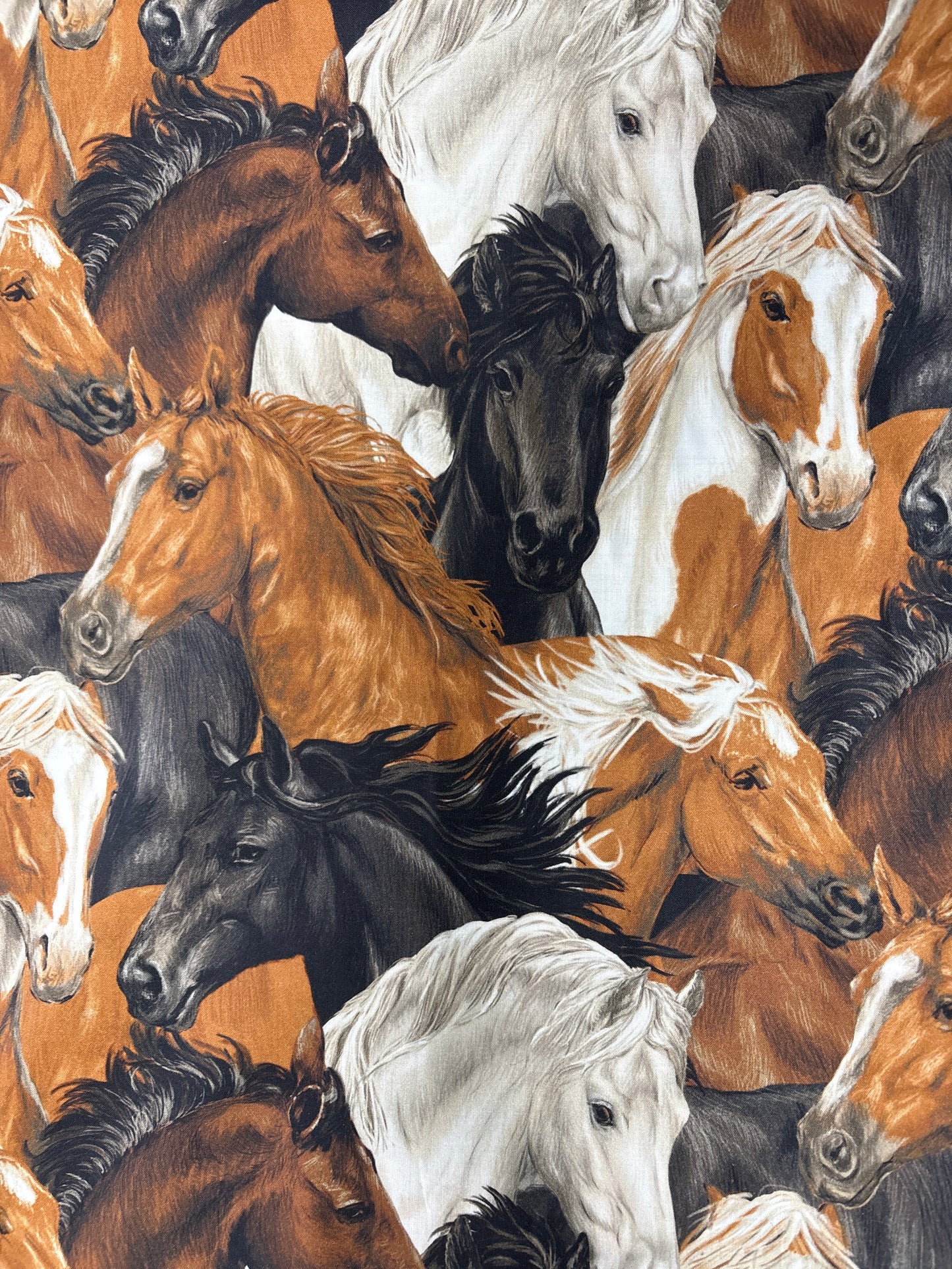 Run Free Horse Heads, white background Cotton Fabric