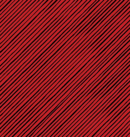 Quirky Red / Black Bias Stripe Fabric