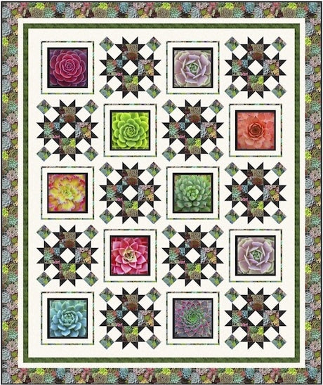 Succulent Garden Quilt Pattern by Pine Tree Country Quilts