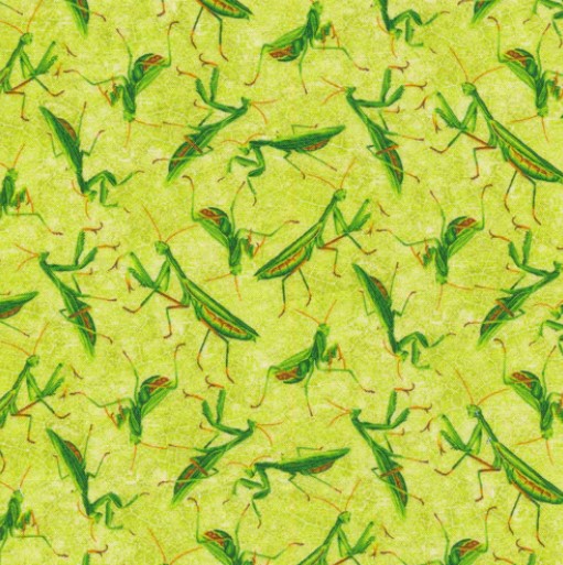 Praying Mantis Bug Cotton Fabric