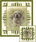 Puppy Love PDF Download Quilt Pattern by Pine Tree Country Quilts