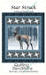 Star Struck PDF Download Panel Quilt Pattern by Quilting Renditions
