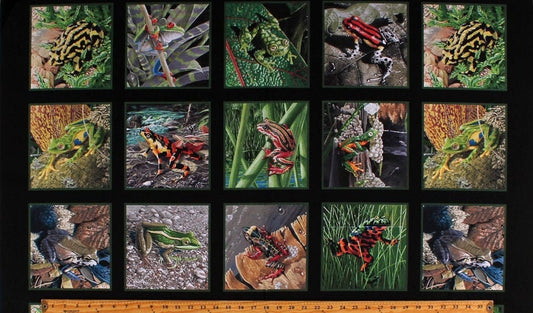 Amazing Frogs Fabric Panel